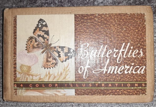 Butterflies and moths - , od