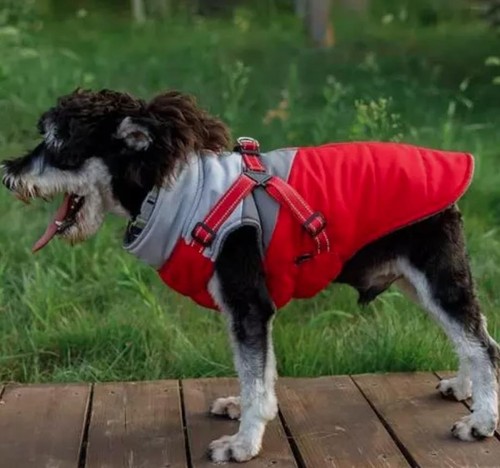 Hundemantel mit geschirr in - geschirr,