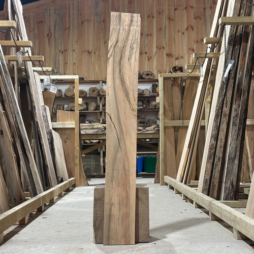 Truthahn eiche bohle brett - bohle,