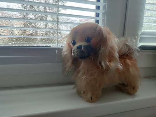 Steiff pikinese - steiff,