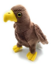 Seeadler Adler Eule Vogel