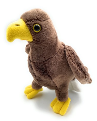 Seeadler adler eule vogel - adler,