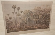 Landschaften Zauberwald