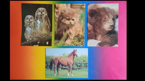 Ddr postkarte tiere ab - ak,