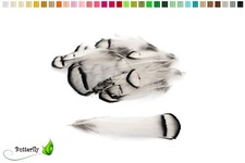 20 Fasanenfedern 4-8cm Fasan Federn Vogelfedern Bastelfedern Dekofedern Schmuck