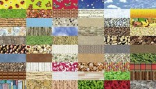 Ursus Motiv Fotokarton ca. 50