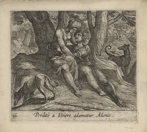 Antonio tempesta ovid - tempesta,