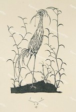 Scrooge Peche fantasy bird