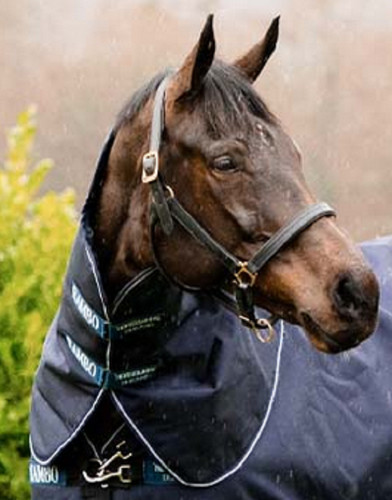 Horseware rambo duo ripstop - horseware,