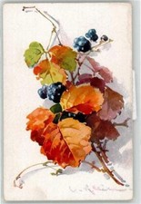 51858488 - Klein, C. / C