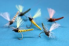  Maifliegen Extended Body Gr.14/12/10 Trockenfliege Qualität Fliegenfischen
