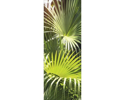 Glasbild palm leaves gla2275 - glasbild,
