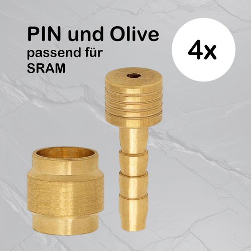 Olive und pin für - paar),