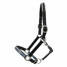 gepolstertes Lederhalfter "Sparkle" mit Dekosteinen 3-fach verstellbar Neu