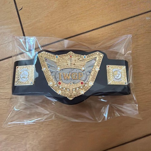 Iwgp world heavyweight - iwgp,