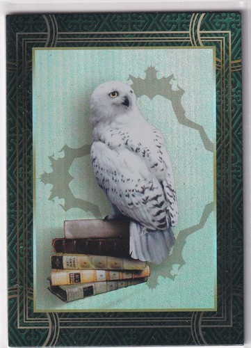 Panini harry potter welcome - panini,