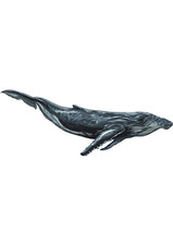 5x car sticker whale sticker