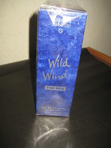 Gabriela sabatini wild - wild, wind