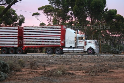 Lkw foto viehtransporter - lkw,