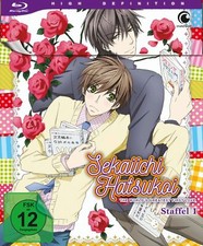 Sekaiichi Hatsukoi - Staffel 1