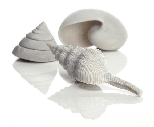 Oase biorb muschel set - oase, muschel-set
