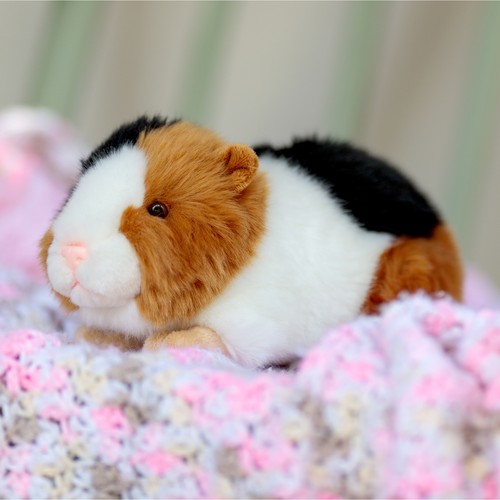 Meerschweinchen animigos - meerschweinchen,