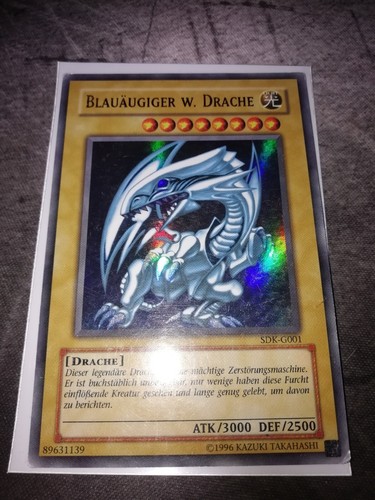 Blauäugiger weißer - blauäugiger,