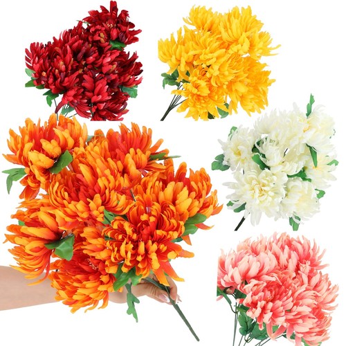 Chrysanthemen ein strauß - ein,