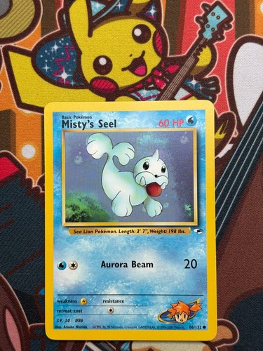 Misty seel 132 - 88/132, gym