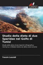 Yassin Lassidi | Studio della