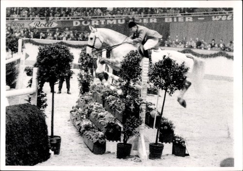 Foto springreiten sprung - springreiten,,