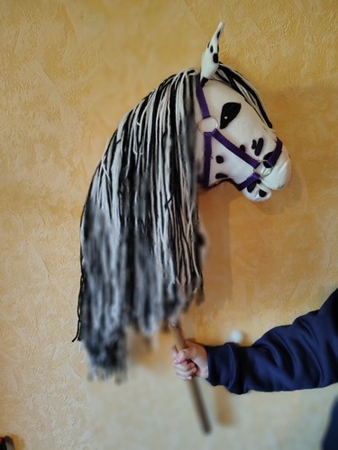 Hobby horse steckenpferd - hobby,