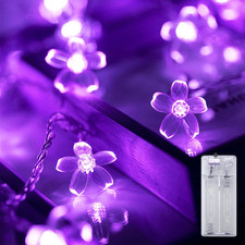 ENLACE Kirschblüten