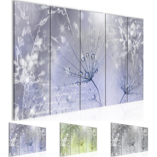 Wandbilder set pusteblume - set, xxl