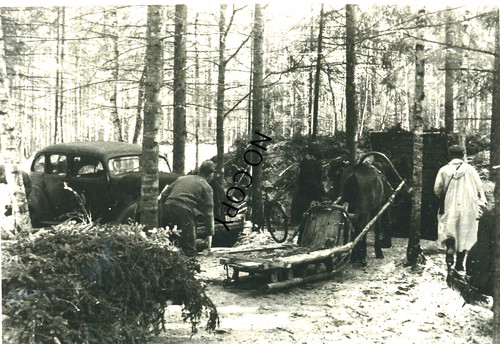 Foto wk2 russland wolchow - foto,