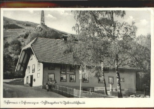 Schoenau schwarzwald - schwarzwald,