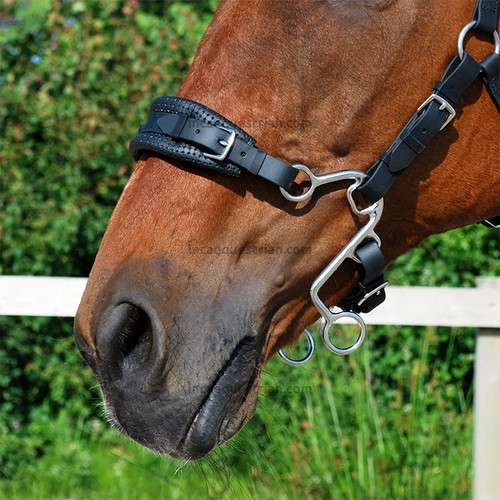 Little hackamore gebissloser - s,