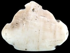 Neolithikum  Schmuck - Platte