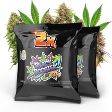 Hoch & Highlig Black Booster CO2-Beutel für Pflanzen - 2er Set - Für Indoor-Grow