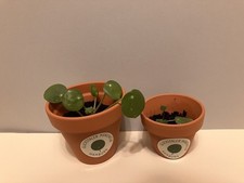 Glückstaler: Der grüne