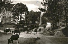Buntenbock Oberharz Goslar