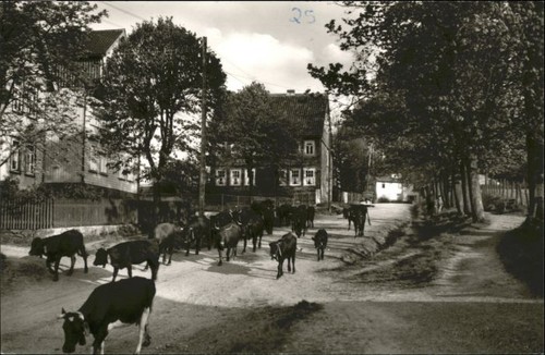 Buntenbock oberharz goslar - buntenbock,