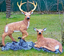 XXL HIRSCH+REH PAAR AUF FELSEN