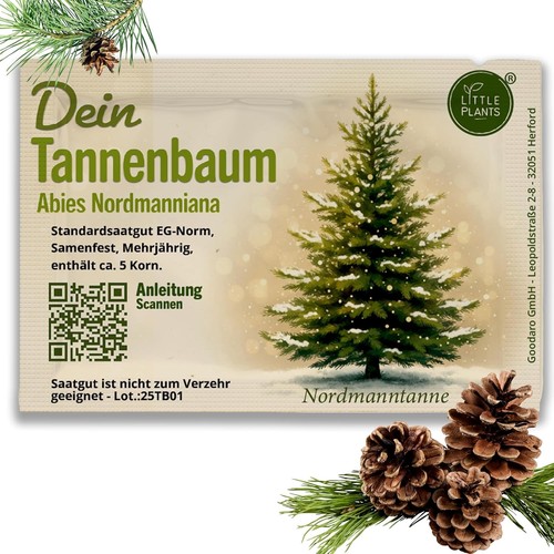 Tannenbaum samen 5 - tannenbaum,