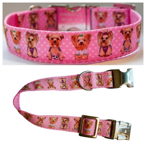 Hunde halsband hundehalsband - hunde,