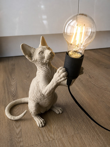 Nacktkatzenlampe sphynx - nacktkatzenlampe,