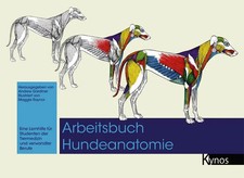 Arbeitsbuch hundeanatomie - hundeanatomie, |