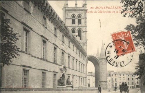 Montpellier herault - montpellier,