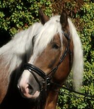 Trense Brilon Kaltblut  XFull Englisch Stick Weiches Leder Tysons  Zügel Noriker