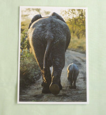 1x Postkarten Kleinstfamilie